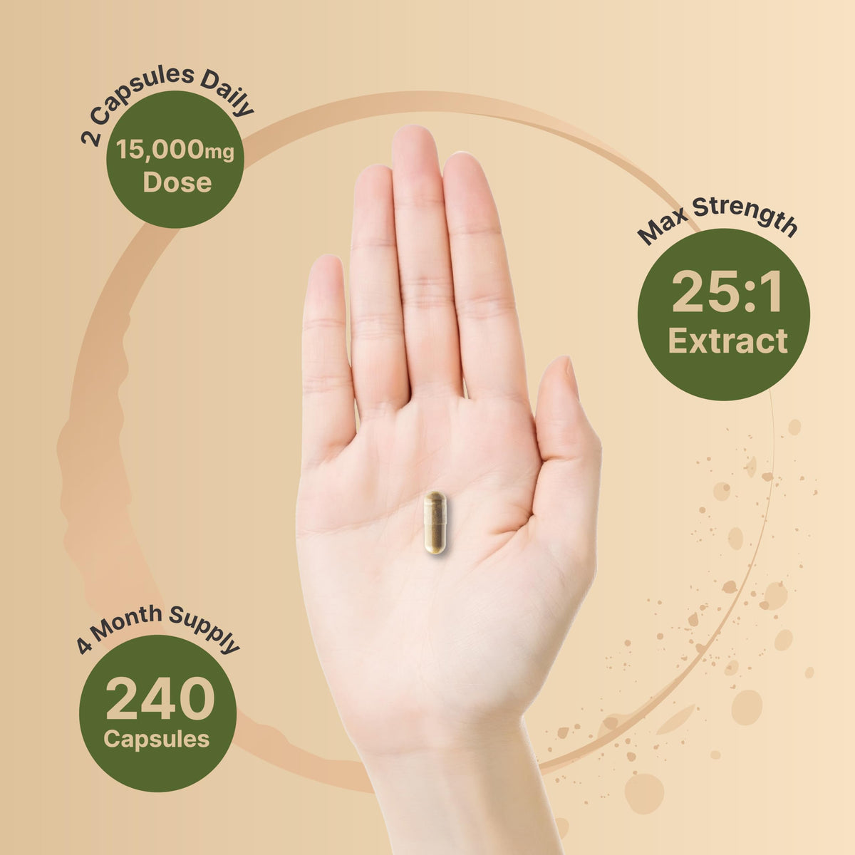 كبسولات فطر ذيل الديك الرومي من NatureBell - 15,000 ملجم لكل جرعة | 240 كبسولة | مستخلص بتركيز 25:1 لدعم المناعة وصحة الدماغ