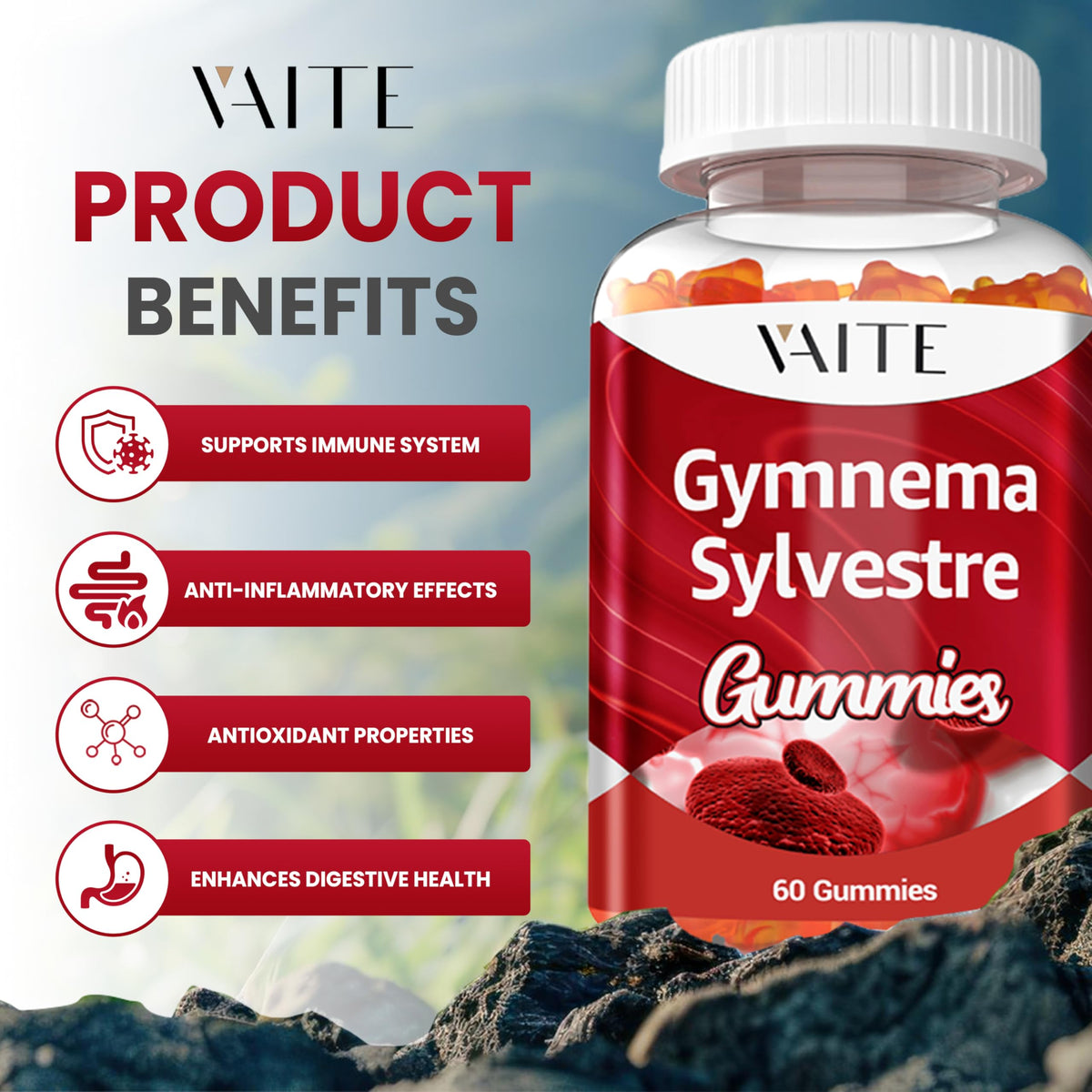VAITE Gymnema Sylvestre Gummies 600mg β 60 Chews, Non-GMO, Gluten-Free