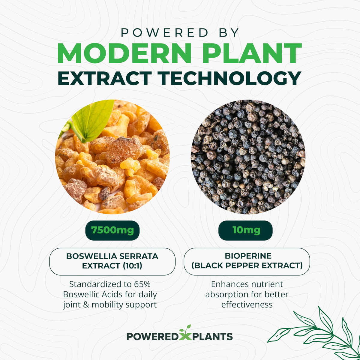 Boswellia Serrata Extract Joint Support β Powered by Plants | 65% Boswellic Acids + BioPerine | 120 Vegan Capsules