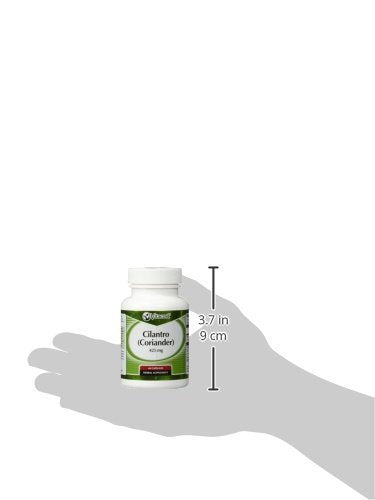Vitacost Cilantro (Coriander) 425 mg β 60 Capsules | Herbal Supplement