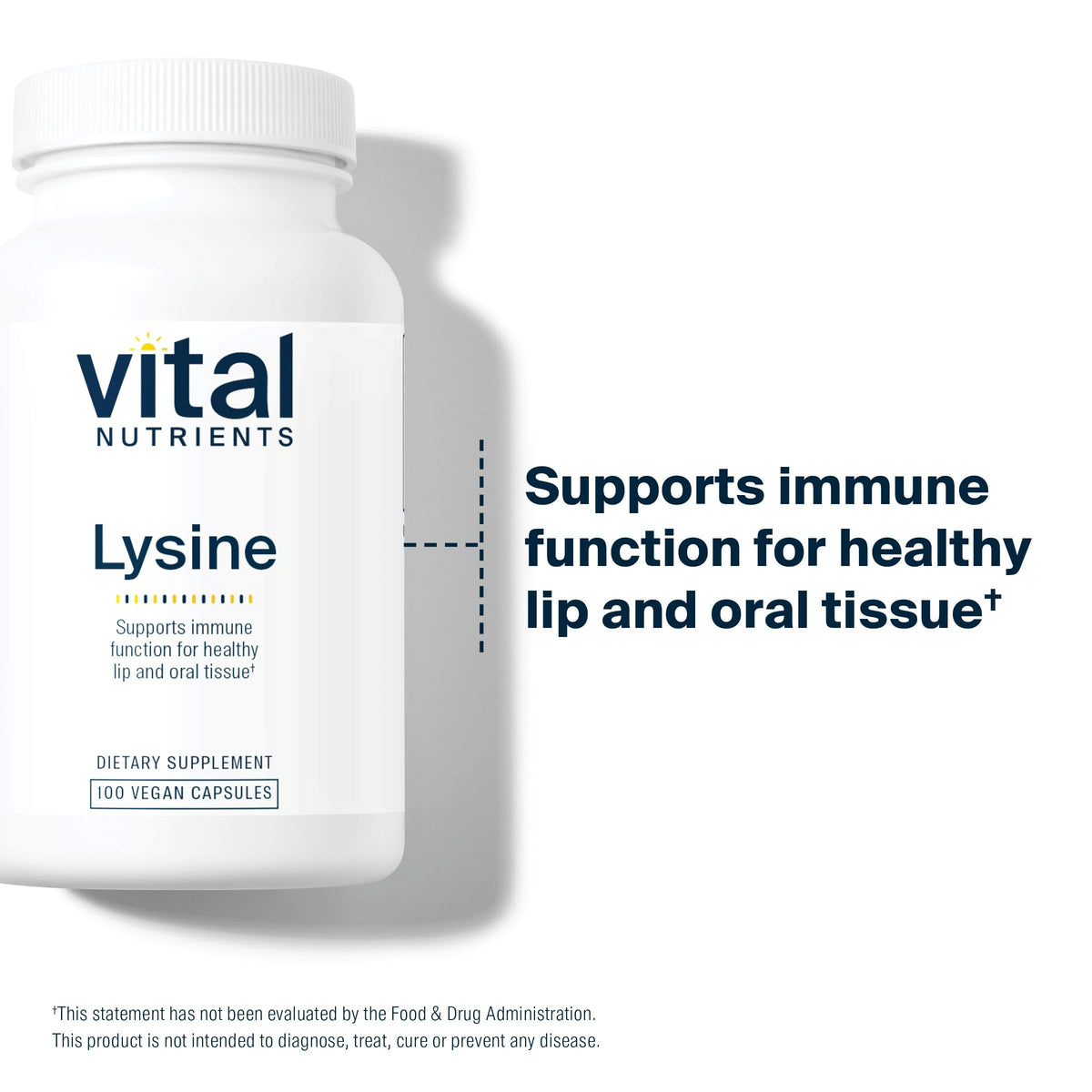 Vital Nutrients Lysine | Lysine Supplement Supports Healthy Lip and Oral Tissue | Immune Support Supplement Promotes Calcium Absorption | Gluten, Dairy, Soy Free | Non-GMO | 100 Capsules