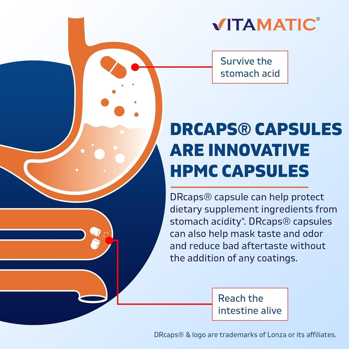 Vitamatic Bacillus Subtilis 10B DR Capsule β 60 Count | Digestive & Immune Health + Prebiotic Inulin