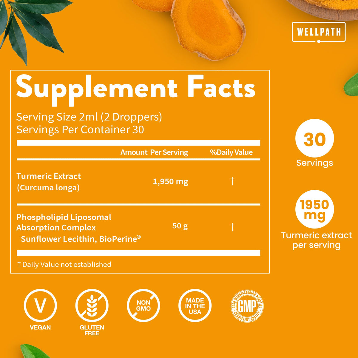 WellPath Liposomal Curcumin | Liquid Turmeric Drops with Black Pepper – Enhanced Absorption | Non-GMO, Vegan | 2 oz