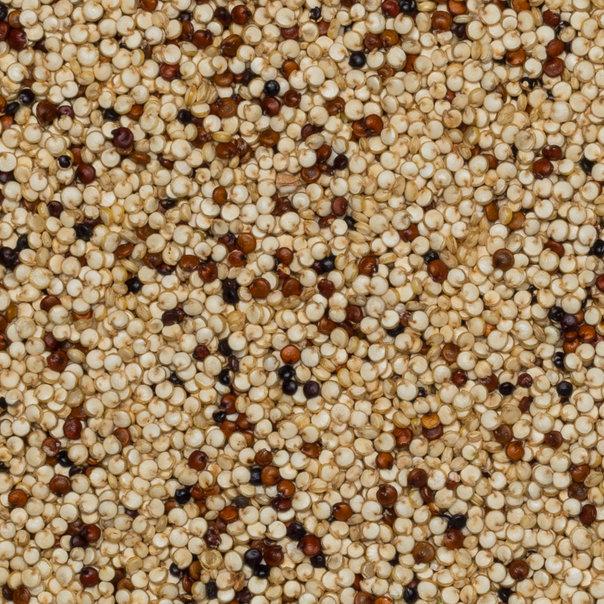 Organic Quinoa Grain (Tri - Colour)