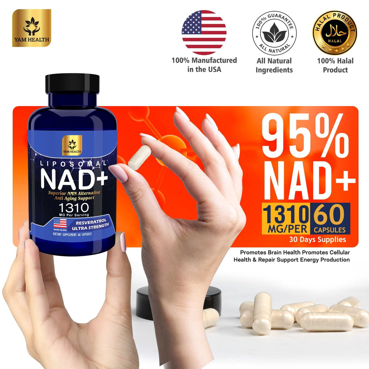 YAM Health Liposomal NAD+ with Trans-Resveratrol β Premium Halal NAD Supplement for Energy Metabolism, DNA Repair & Longevity (Vegan, Non-GMO, 60 Count)