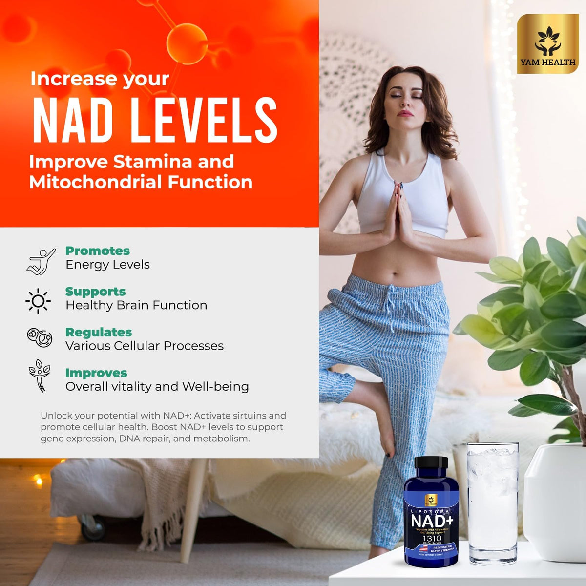 YAM Health Liposomal NAD+ with Trans-Resveratrol β Premium Halal NAD Supplement for Energy Metabolism, DNA Repair & Longevity (Vegan, Non-GMO, 60 Count)