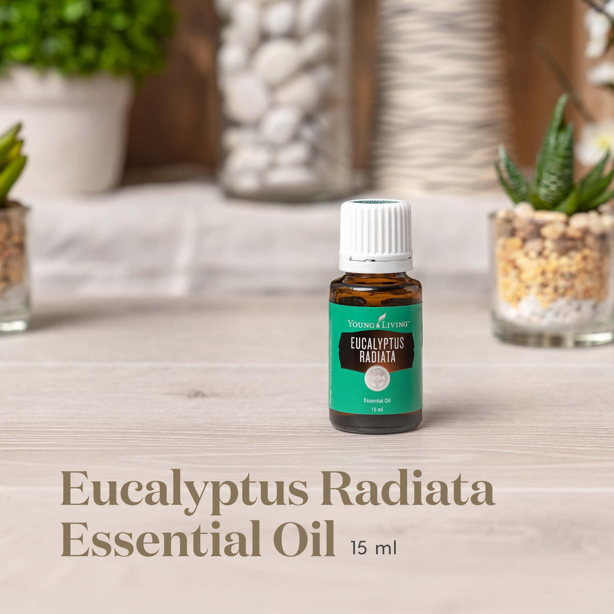 Eucalyptus Radiata Essential Oil 15ml by Young Living Essential Oils