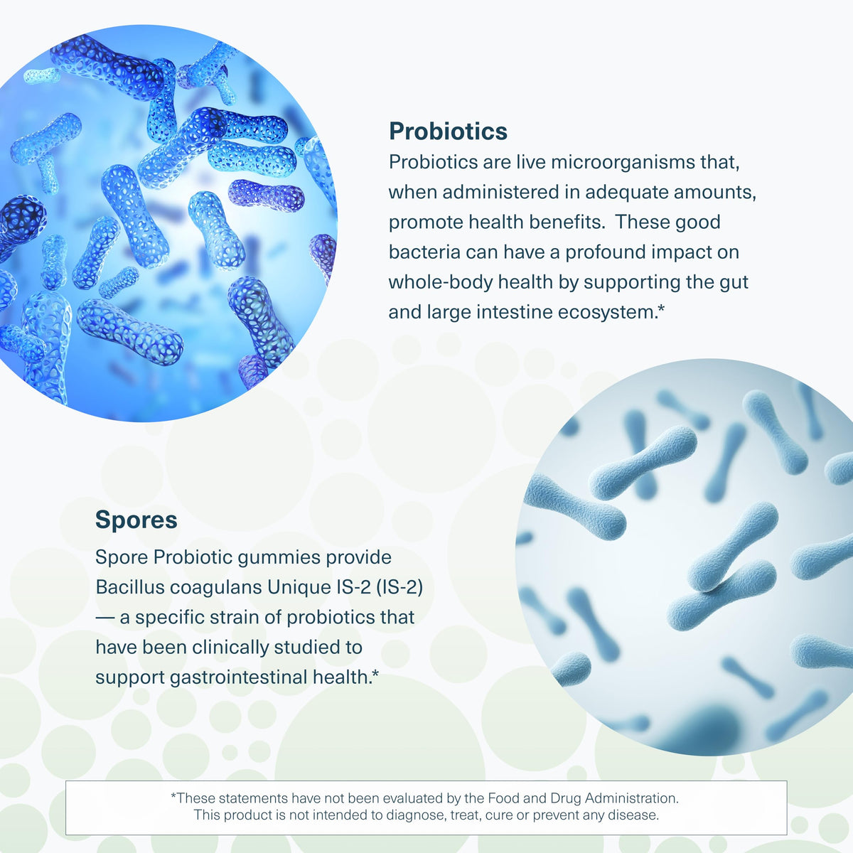 Youtheory Spore Probiotic – Vegan Gut Support, Bacillus Coagulans | 60 Gummies
