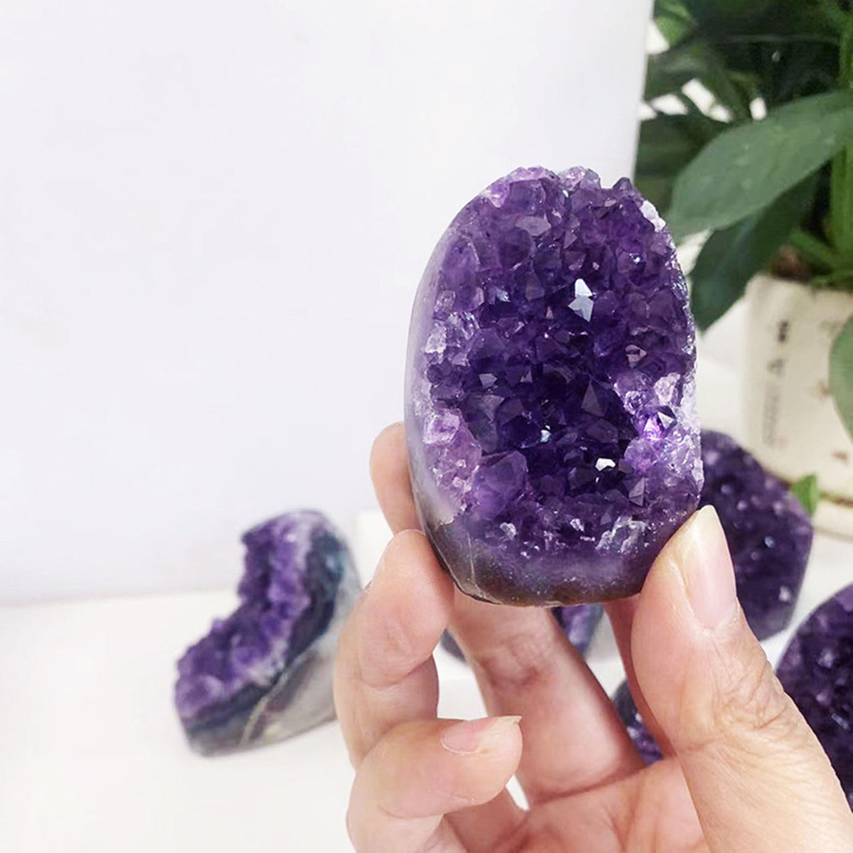 Discover Calm & Balance