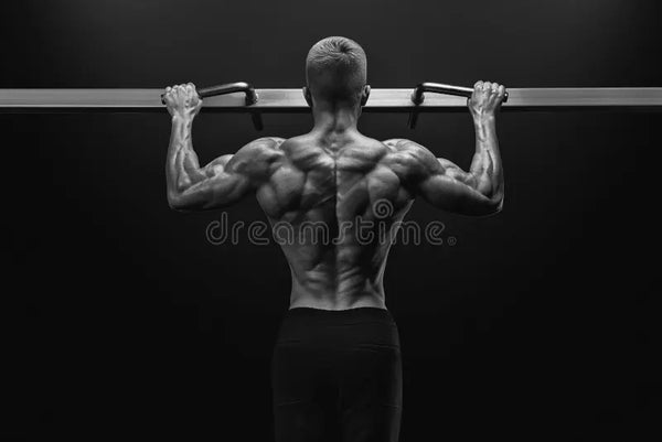 Fitness Clothing (Men’s)