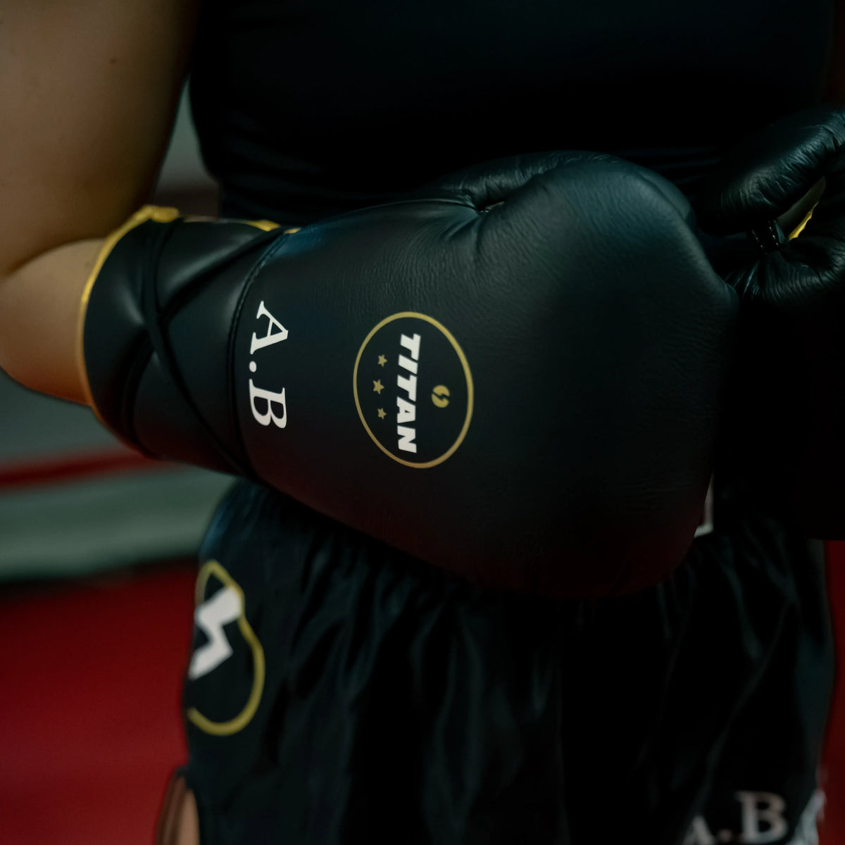 10oz Horsehair Lace-Up Fight Gloves – Midnight Black