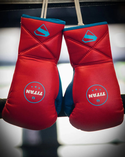 Bespoke 10oz Horsehair Fight Gloves