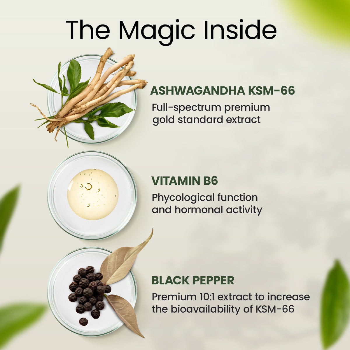 Ashwagandha KSM-66
