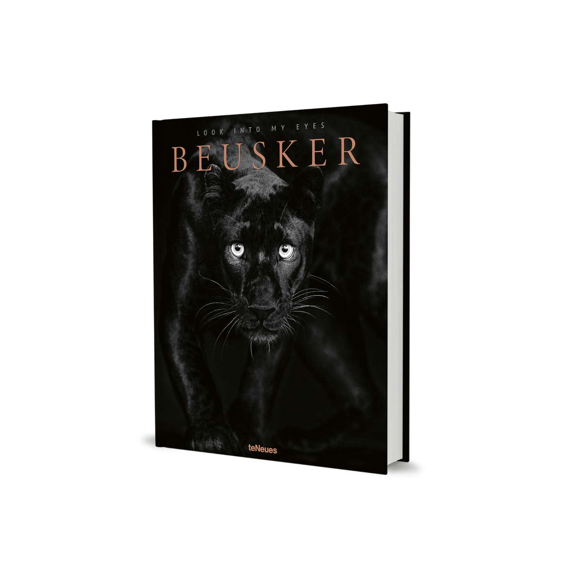 Beusker: Look into My Eyes