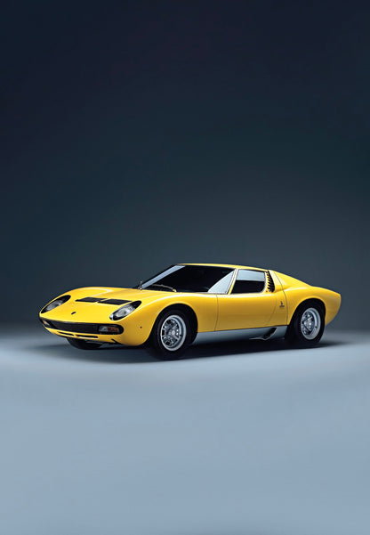 The Lamborghini Book