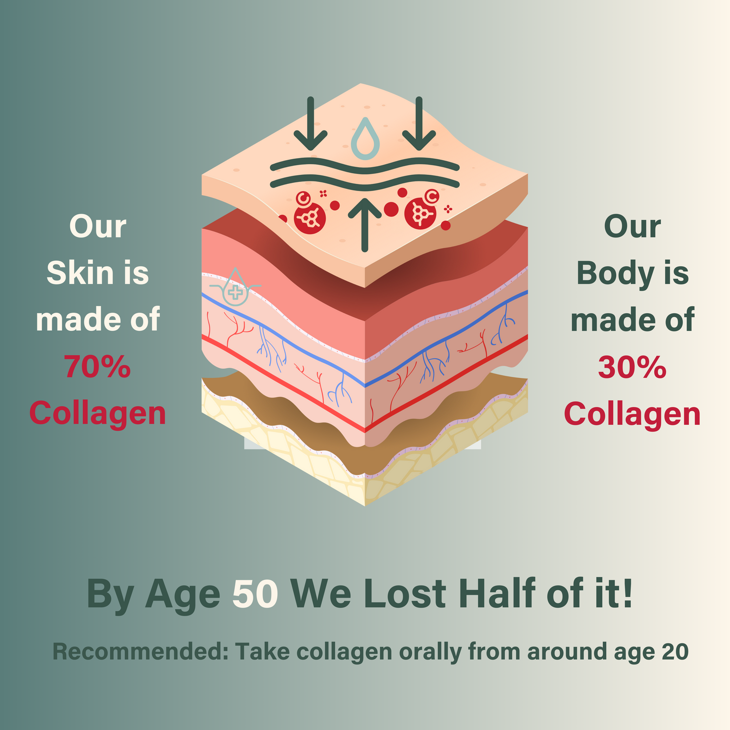 12500 ملغ من الكولاجين البحري المتحلل بالإضافة إلى الزنك والريتينول (ملاحظة)