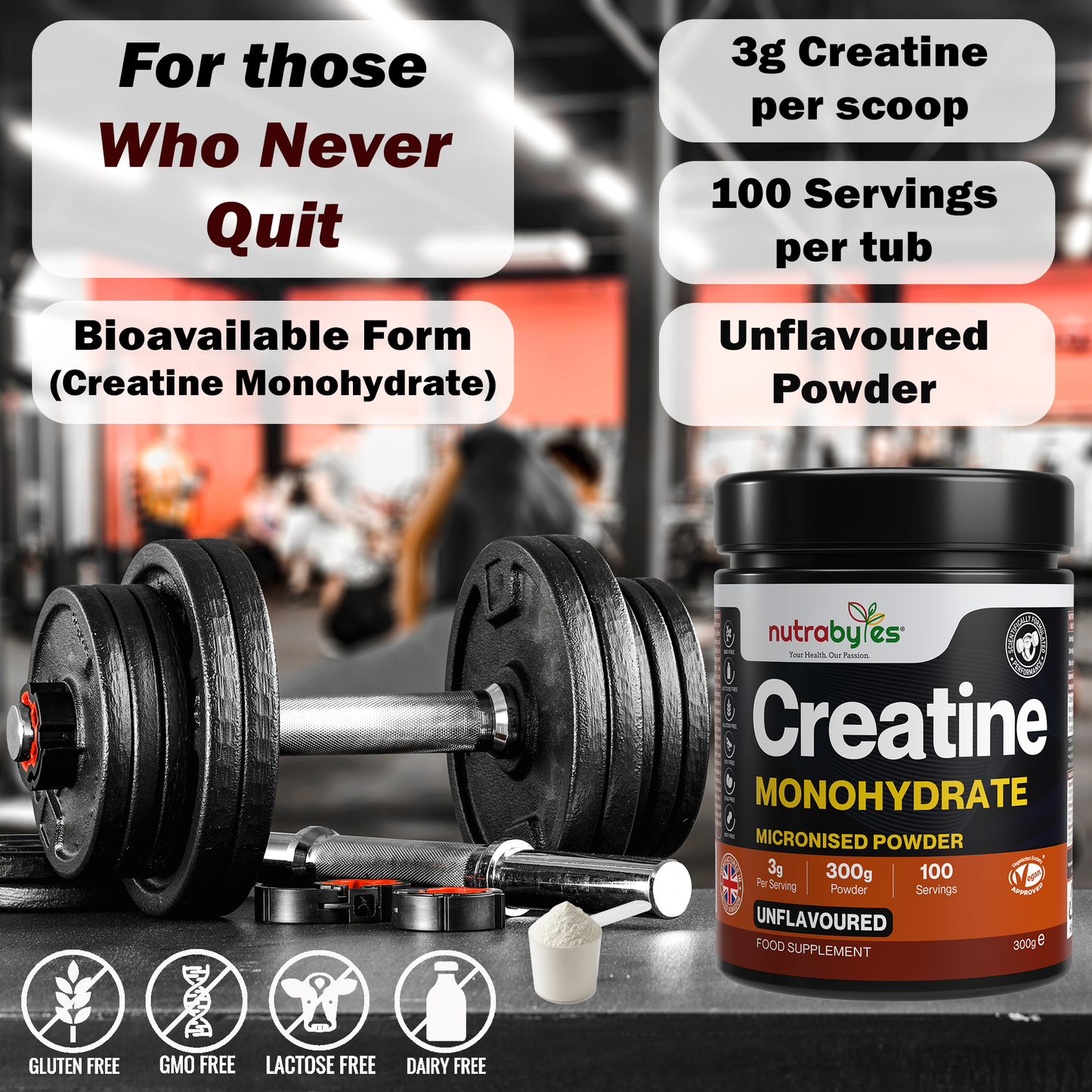 Creatine Monohydrate Powder 300g (100 Servings) – Pure Micronised Creatine Powder Supplement for Men & Women, Pre & Post Workout Strength, Muscle Growth & Recovery, Vegan – Unflavoured