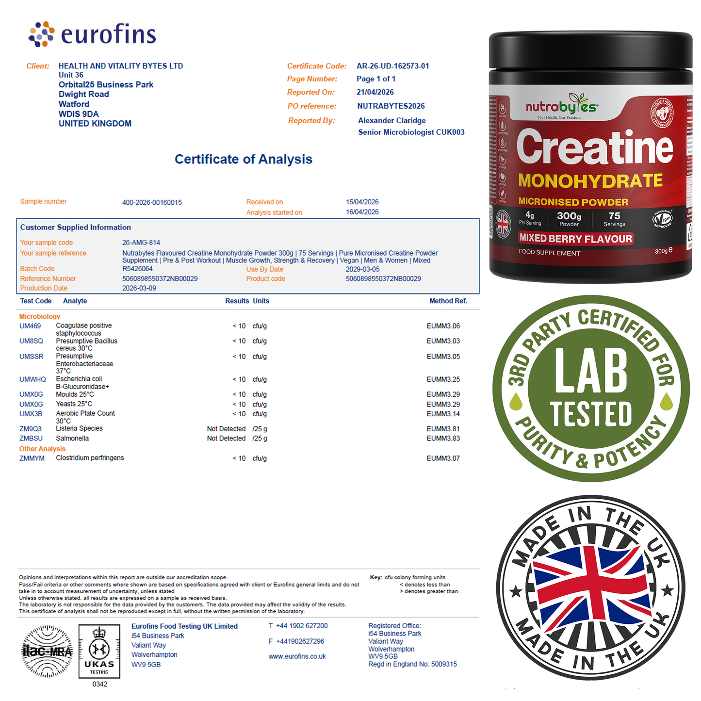 Creatine Monohydrate Powder 300g (75 Servings) – Pure Micronised Creatine Powder Supplement for Men & Women, Pre & Post Workout Strength, Muscle Growth & Recovery, Vegan – Mixed Berry Flavour