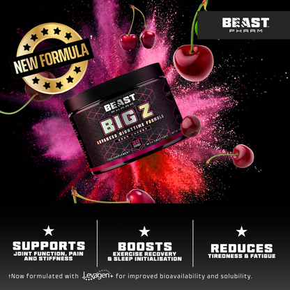 BIG Z Powder تركيبة ليلية متطورة