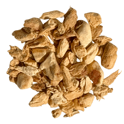 Thai Ginger Root