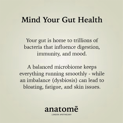Essential Daily Probiotic Capsules+ Gut Support