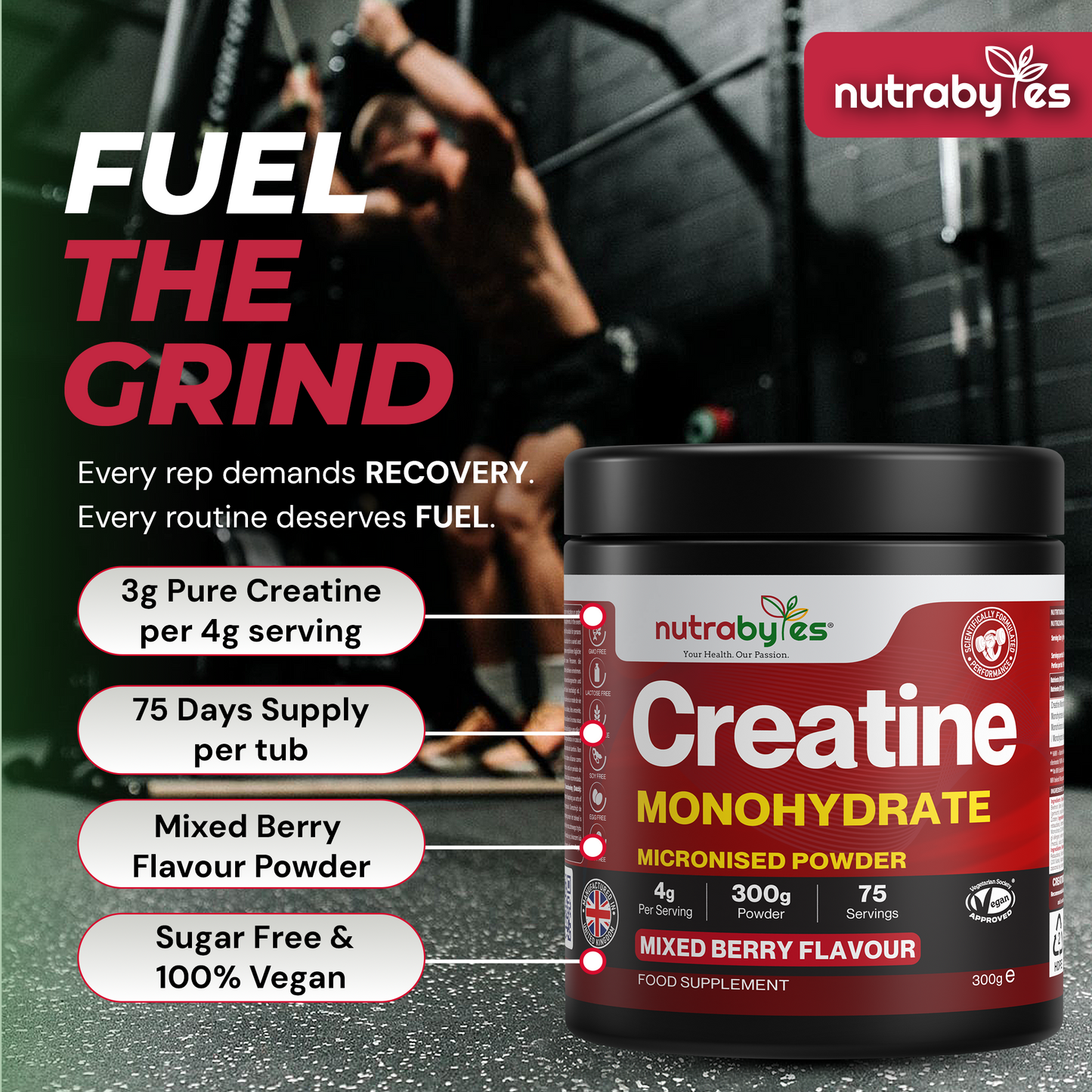Creatine Monohydrate Powder 300g (75 Servings) – Pure Micronised Creatine Powder Supplement for Men & Women, Pre & Post Workout Strength, Muscle Growth & Recovery, Vegan – Mixed Berry Flavour