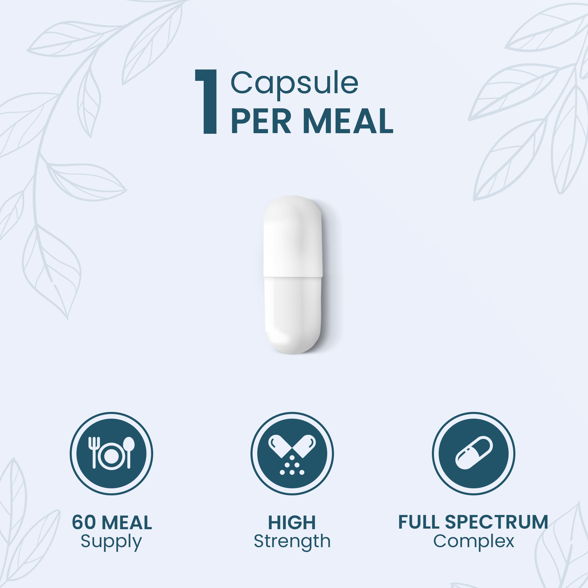 Digestive Enzymes+