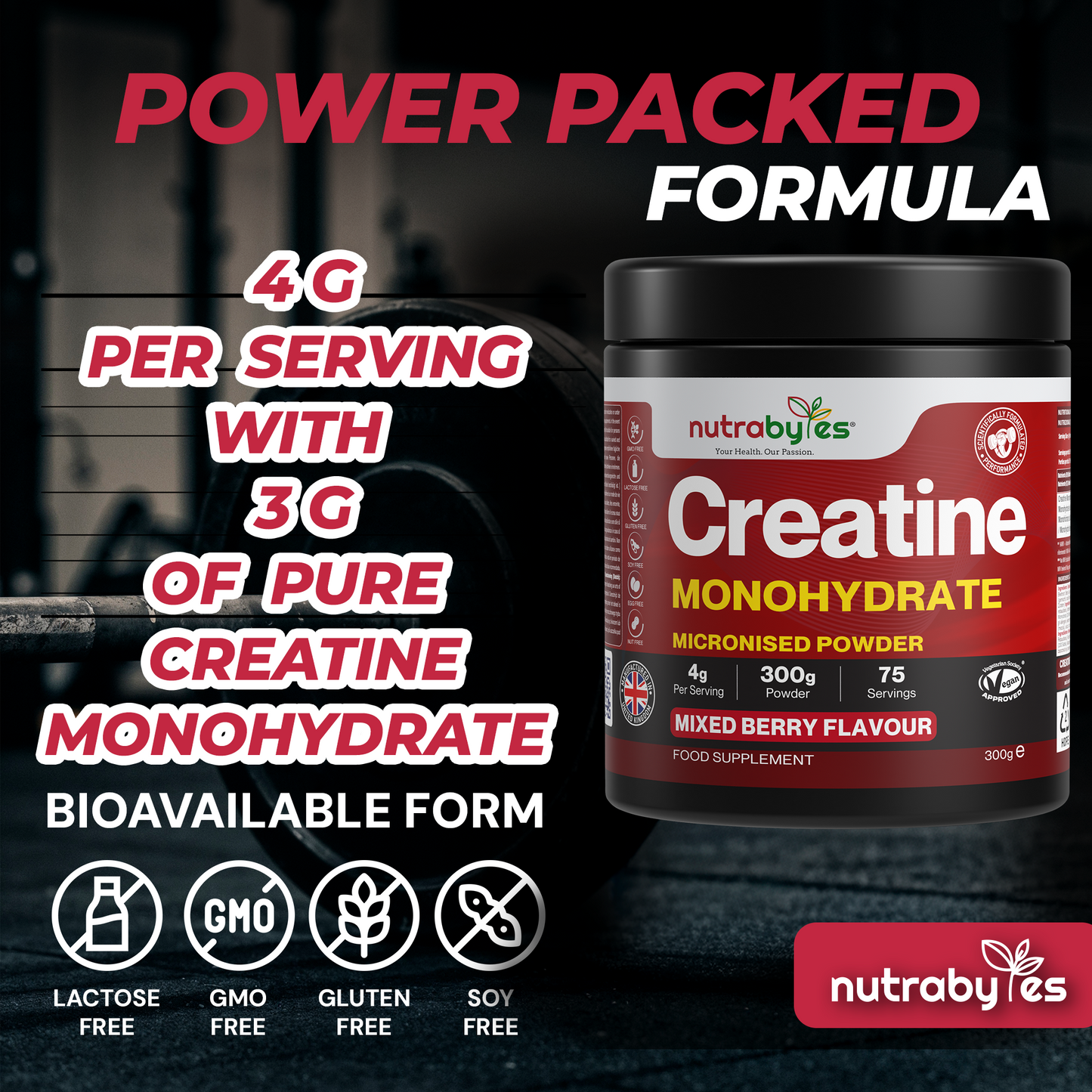 Creatine Monohydrate Powder 300g (75 Servings) – Pure Micronised Creatine Powder Supplement for Men & Women, Pre & Post Workout Strength, Muscle Growth & Recovery, Vegan – Mixed Berry Flavour