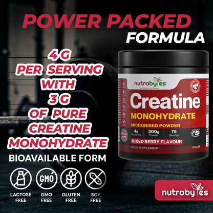 Creatine Monohydrate Powder 300g (75 Servings) – Pure Micronised Creatine Powder Supplement for Men & Women, Pre & Post Workout Strength, Muscle Growth & Recovery, Vegan – Mixed Berry Flavour