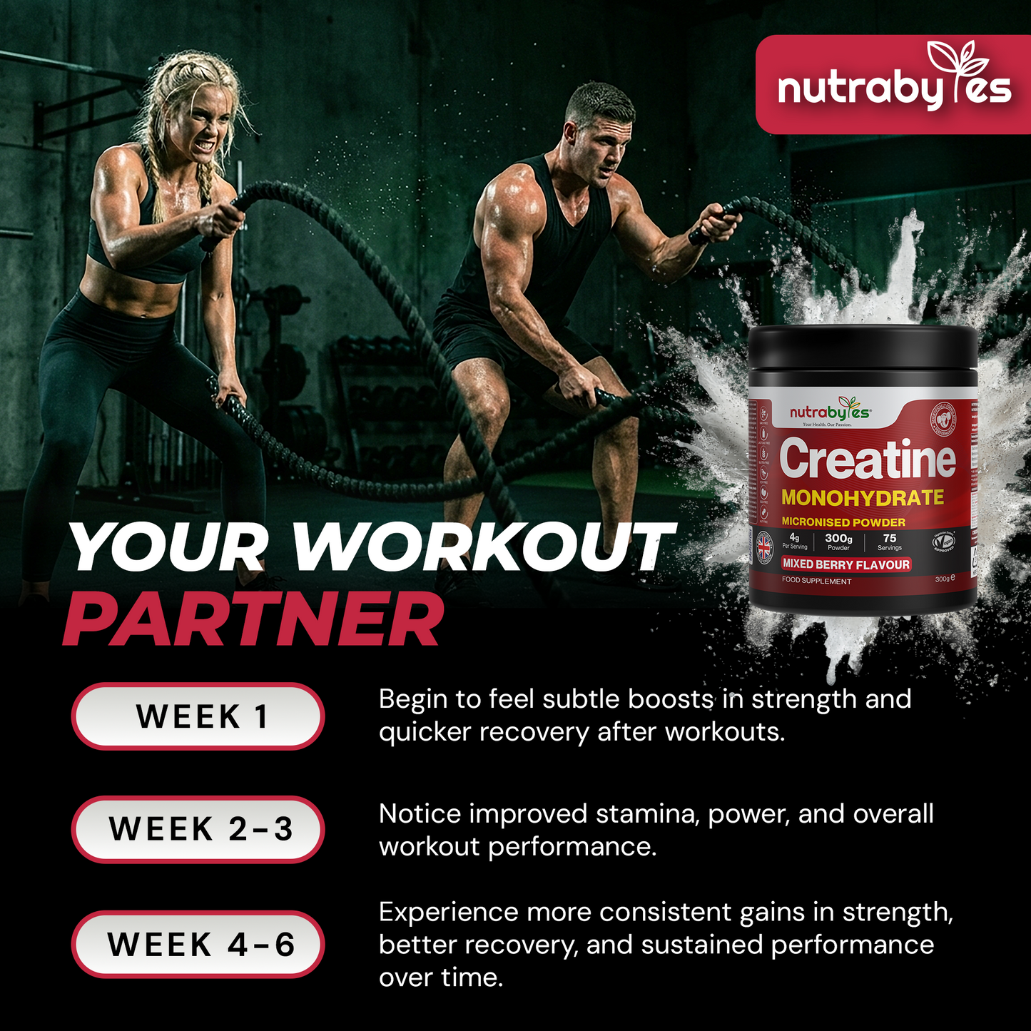 Creatine Monohydrate Powder 300g (75 Servings) – Pure Micronised Creatine Powder Supplement for Men & Women, Pre & Post Workout Strength, Muscle Growth & Recovery, Vegan – Mixed Berry Flavour
