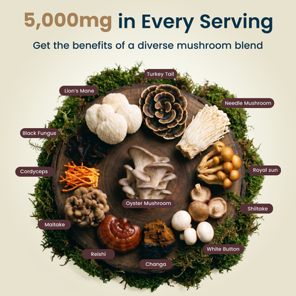 12-in-1 Mushroom Gummies