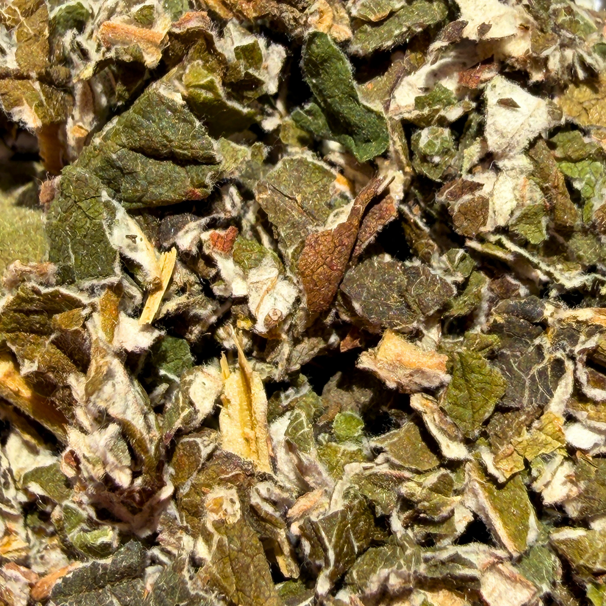 Raspberry Leaf Tea