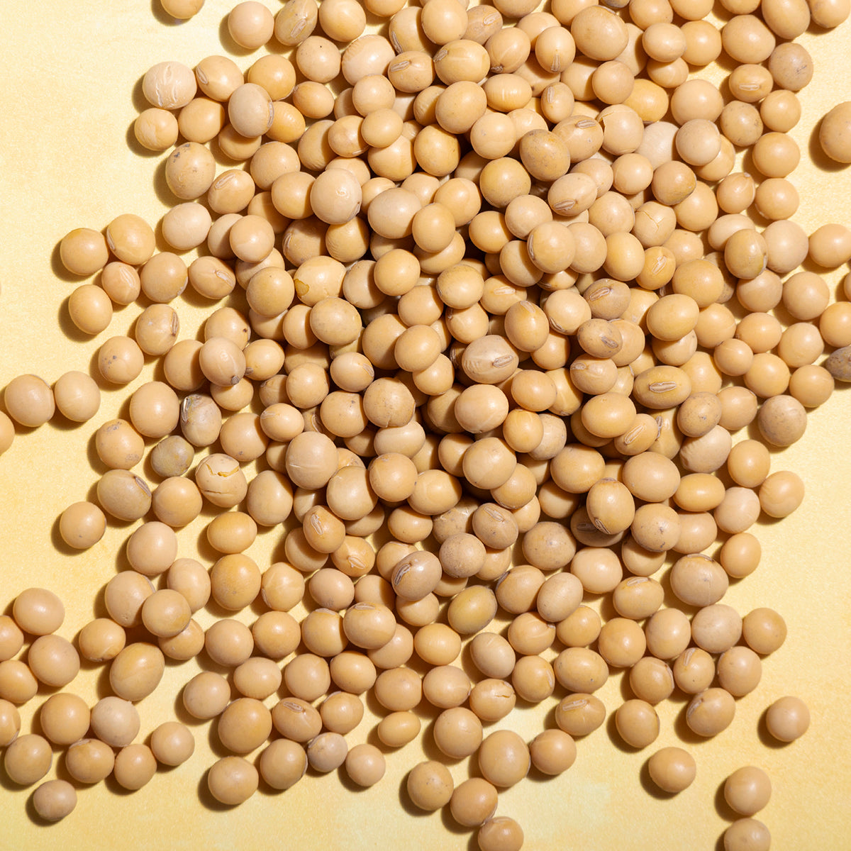 Soya Beans