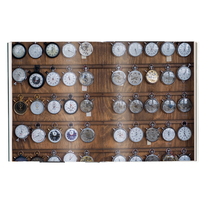 The Watch Book: Hanhart