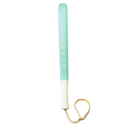 Aixo Pastel de Mint Ghost Padel Racket - Full Carbon - RL-B09