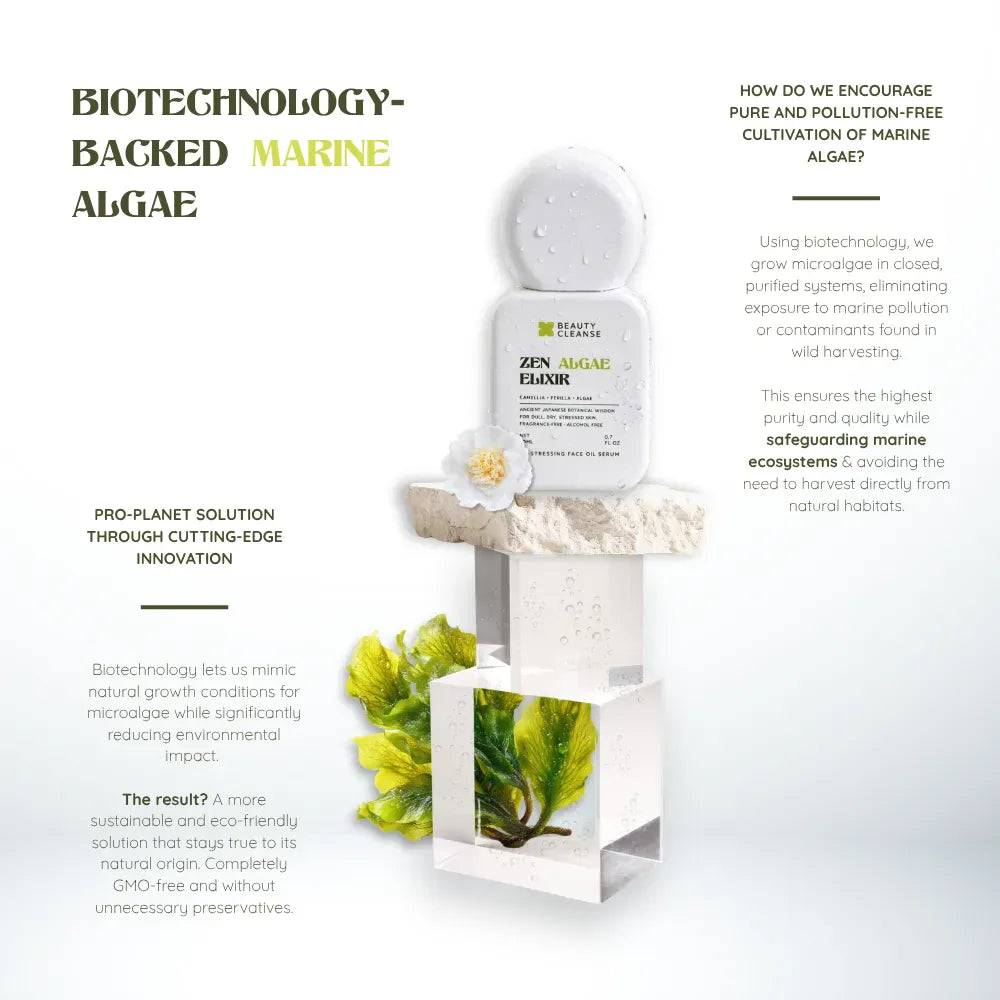ZEN ALGAE ELIXIR
