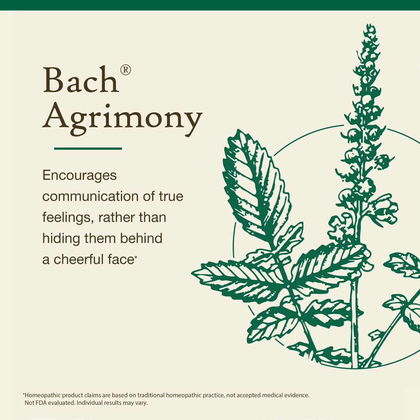 Bach Agrimony - Communicate Openly | Original Flower Remedies 20mL Dropper