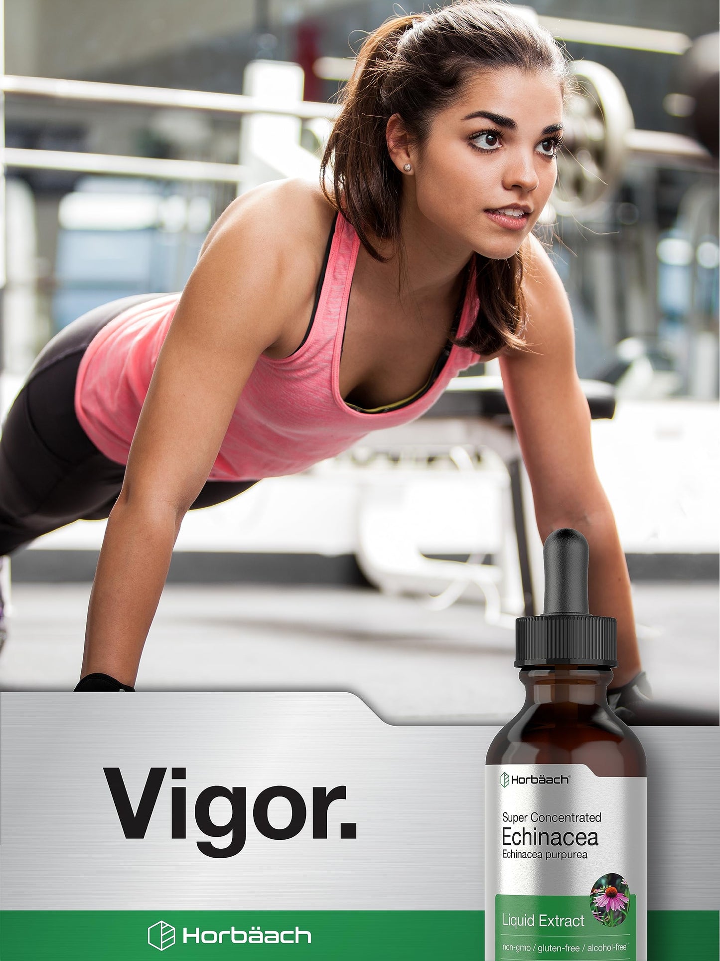 Horbaach Echinacea Drops Tincture - 2 fl oz | Alcohol-Free, Vegetarian, Non-GMO & Gluten Free