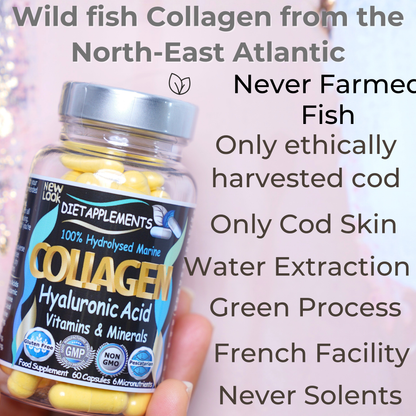 Marine Collagen & Hyaluronic Acid Complex