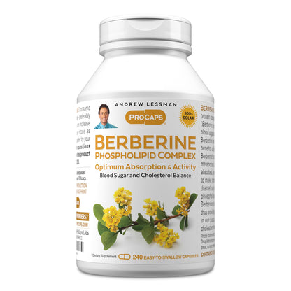 ANDREW LESSMAN Berberine Phospholipid Complex 240 Capsules – Barberry Root Extract | Easy to Swallow