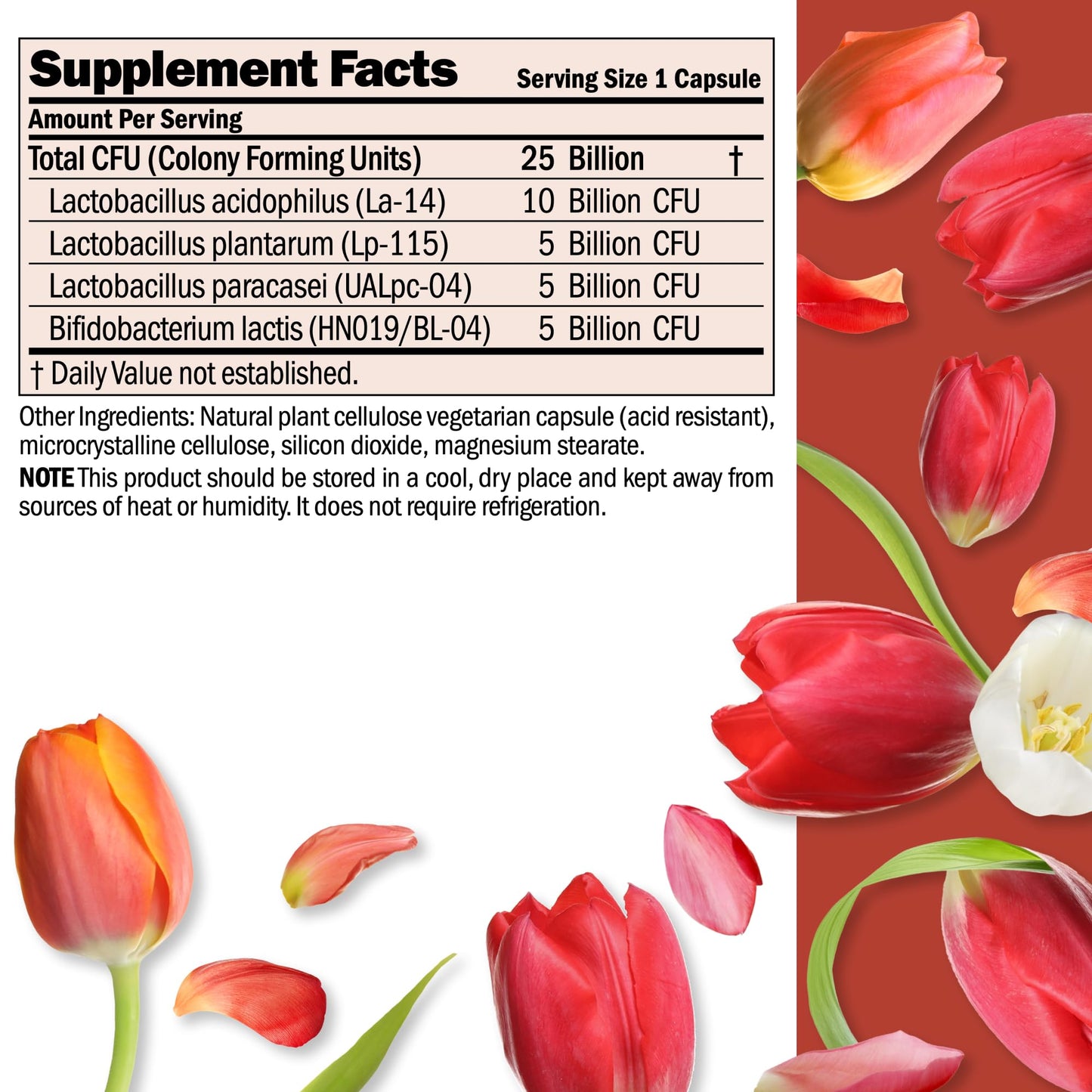 Andrew Lessman Ultimate Friendly Flora Probiotic 25B CFU | 5 Strains, 240 Capsules