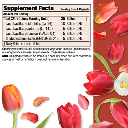 Andrew Lessman Ultimate Friendly Flora Probiotic 25B CFU | 5 Strains, 240 Capsules