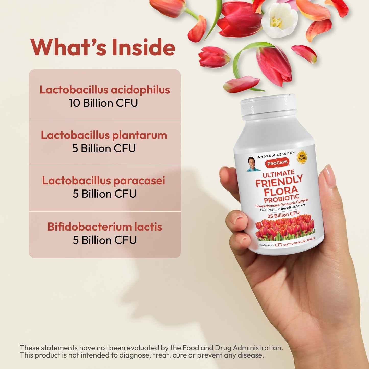 Andrew Lessman Ultimate Friendly Flora Probiotic 25B CFU | 5 Strains, 240 Capsules