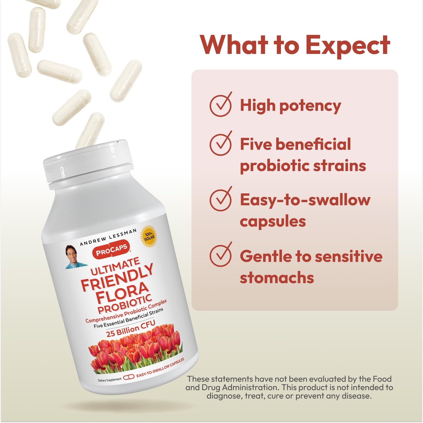 Andrew Lessman Ultimate Friendly Flora Probiotic 25B CFU | 5 Strains, 240 Capsules