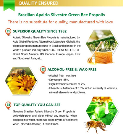 Official Distributor - Apiario Silvestre Brazilian Green Propolis Liquid Glycolic Extract (3 Bottles) Non Alcoholic, Wax Free, Sugar Free
