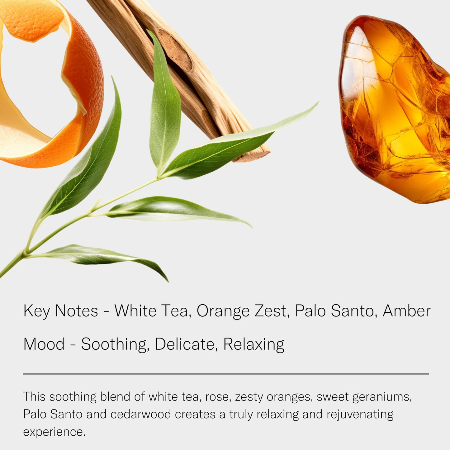 AromaTech White Tea Aroma Blend – Hotel-Inspired Scent for Ultrasonic & Nebulizing Diffusers (120 mL)