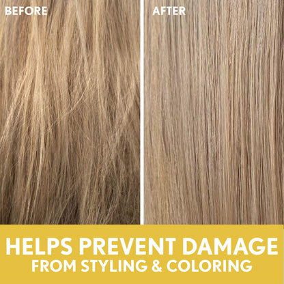Aveeno Deep Moisturizing Sunflower Oil Blend Shampoo with Oat – Sulfate & Paraben Free for Dry Damaged Hair (12 oz)