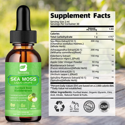 B BEWORTHS Sea Moss Liquid Drops – Organic Irish Sea Moss Gel with Burdock & Vitamins | 2 Fl Oz