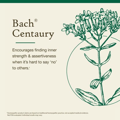 Centaury Bach Original Flower Remedies – Be Assertive (20mL Dropper)