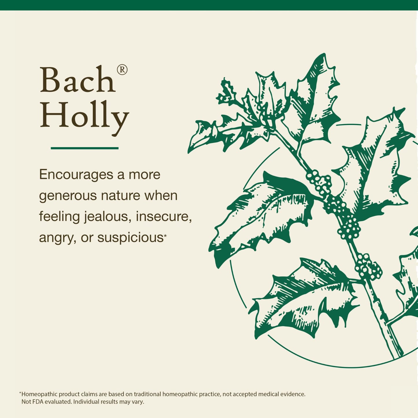 Bach Original Flower Remedies Holly – Goodwill Towards Others | 20mL Dropper